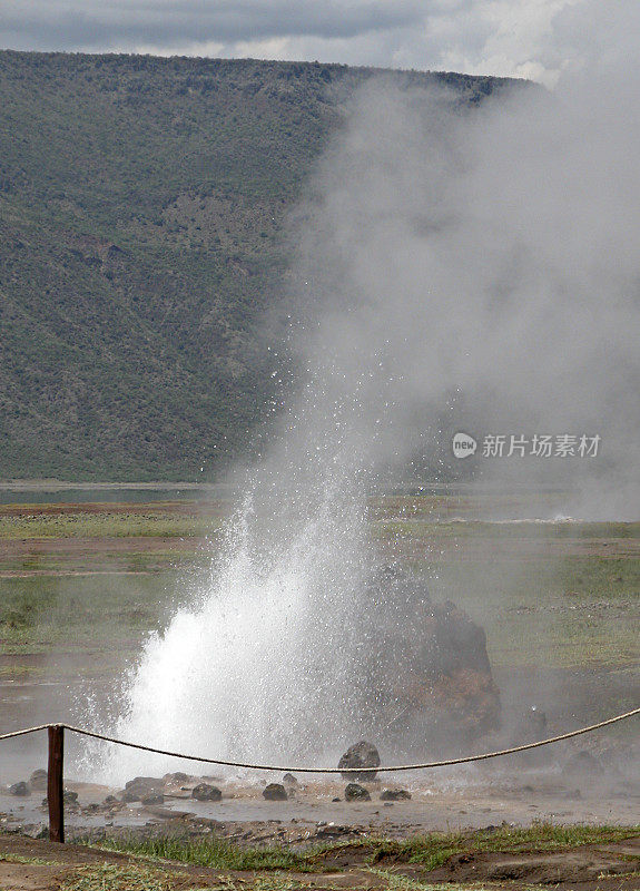 Lake Bogoria National Park, Kenya - vertical